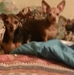 Meet your Posher, Florene